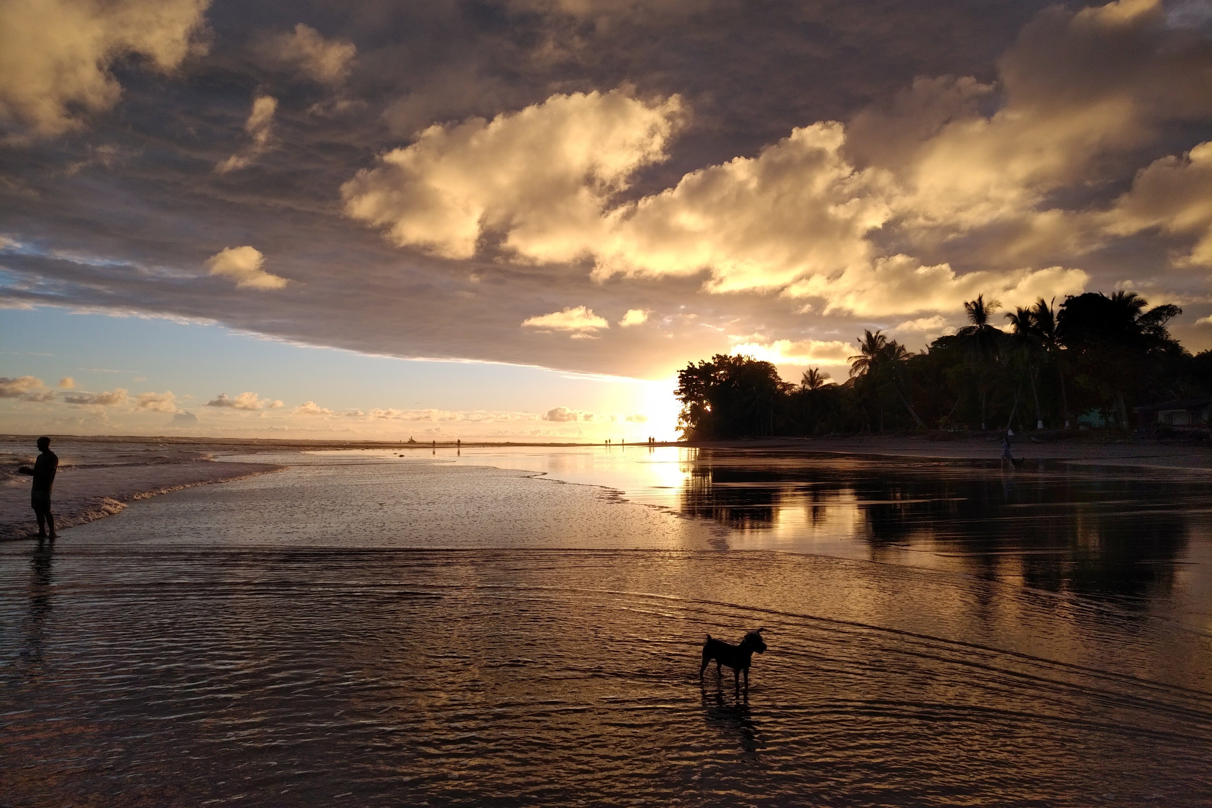 Peaceful Sunset with Dog